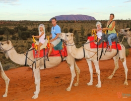 Uluru Camel Ride - ytravel
