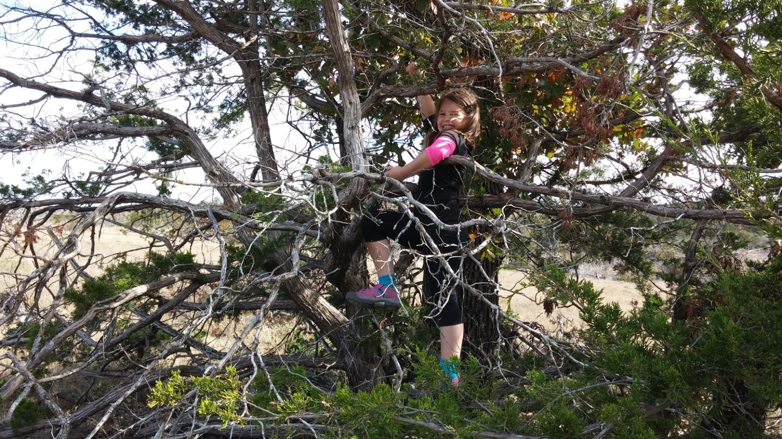 Climbing a tree in Wichita Mountains