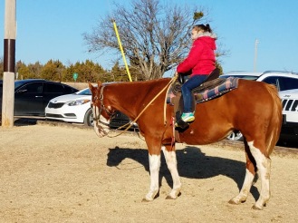 First horse ride on "Socks" the horse.