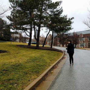 Walking up the road to WUSTL